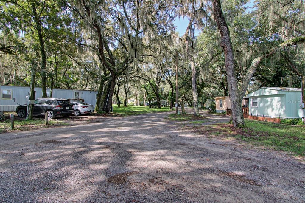 28313 Highway 27 Leesburg, FL 34748 - Photo 5 of 46 a view of outdoor space with trees