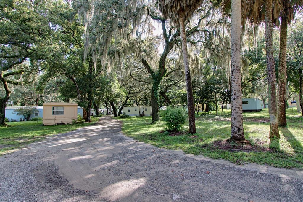 28313 Highway 27 Leesburg, FL 34748 - Photo 8 of 46 a view of a park with large trees