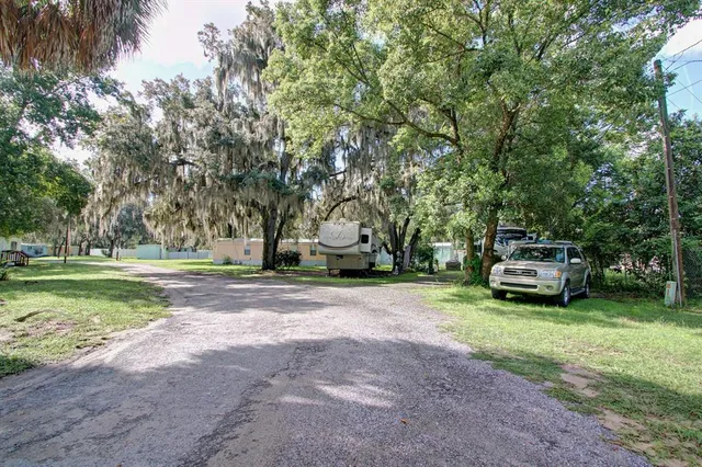 a view of a park with large trees