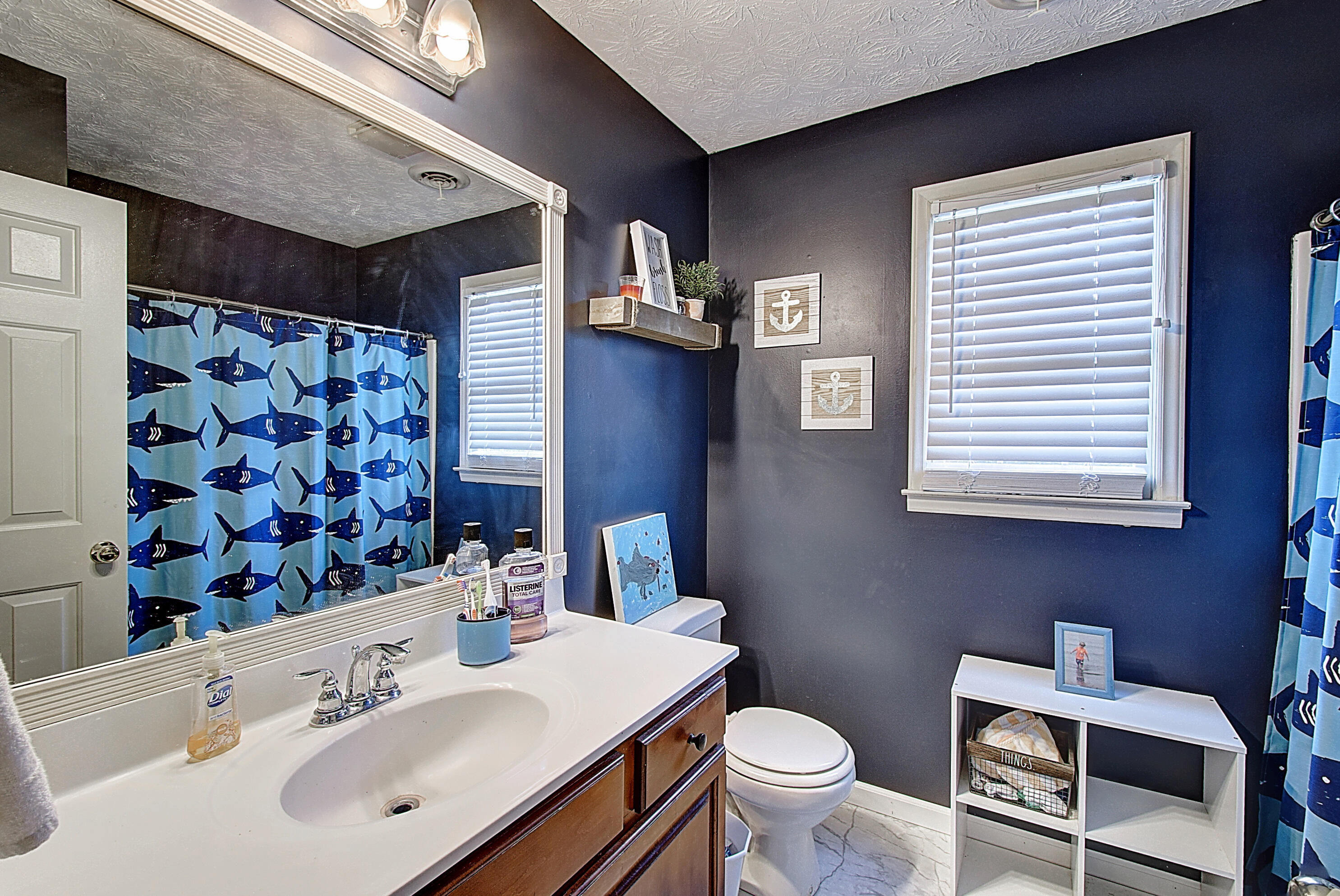 508 Mitchell Road Kingsport, TN 37663 - Photo 25 of 35 DSC_0235And8more