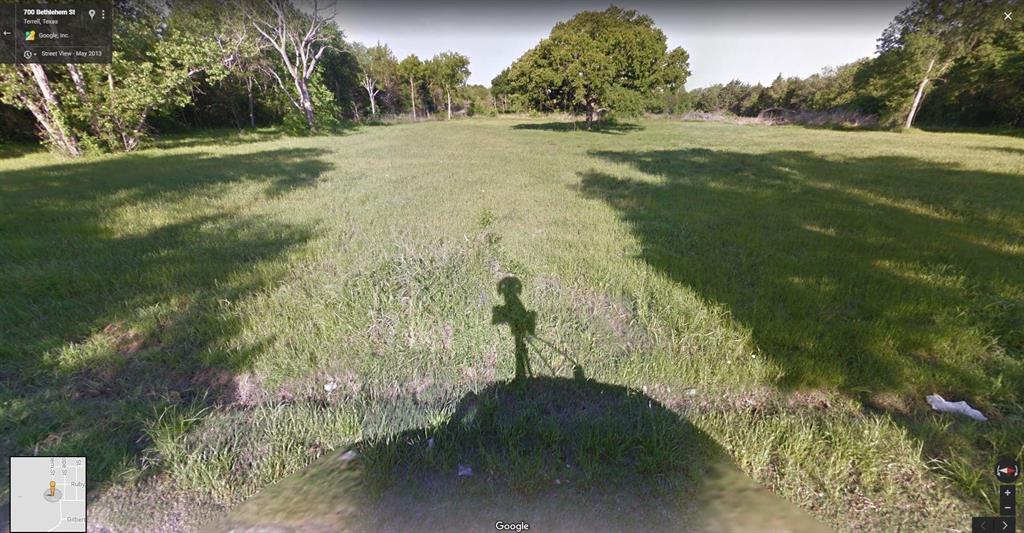 1180 Rosehill Road Terrell, TX 75160 - Photo 6 of 23 a view of a big yard with lots of green space and fog