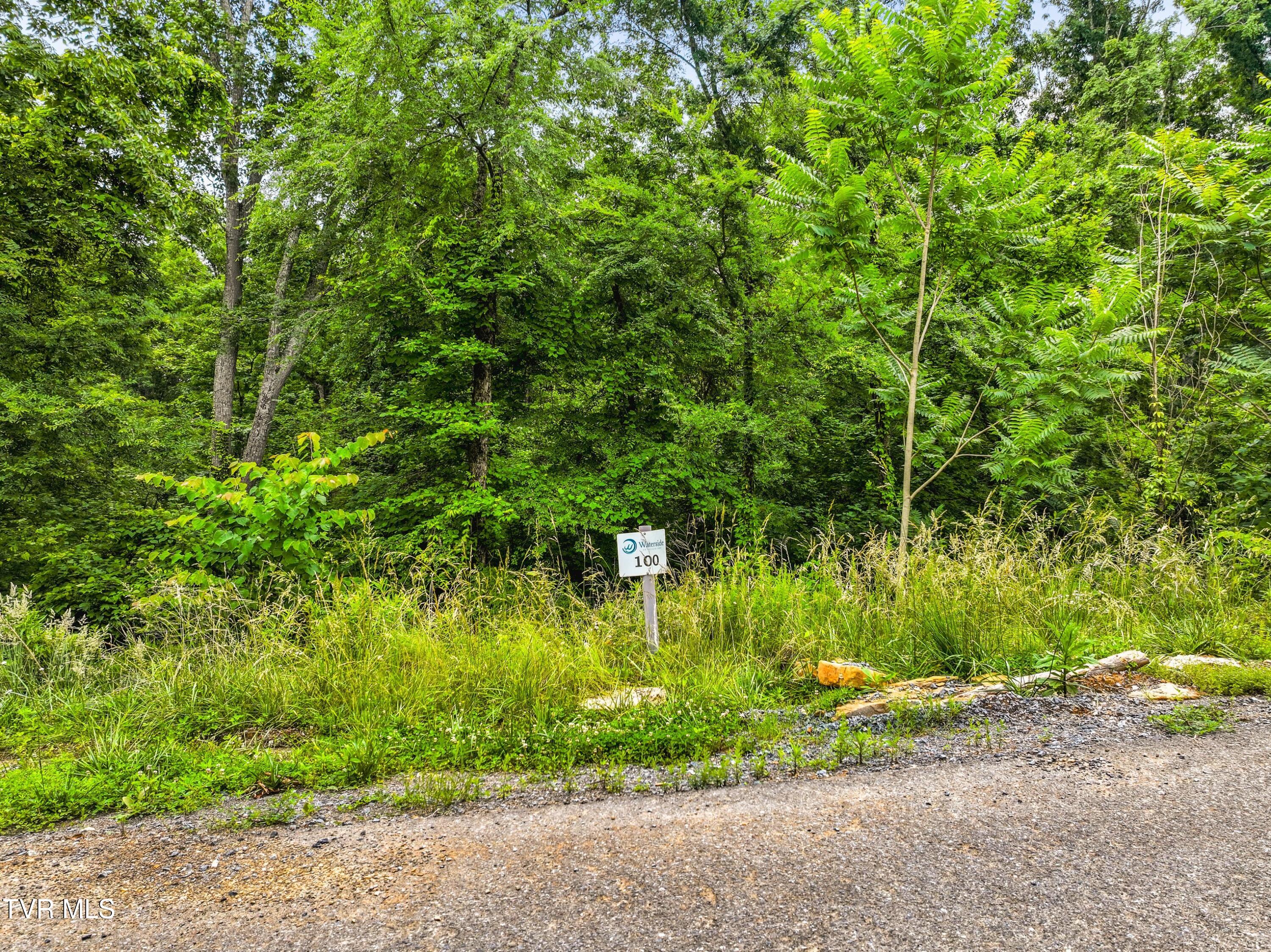 Lot 100 Ridgeline Trail, Unit 100 Dandridge, TN 37725 - Photo 6 of 26 001-RidgelineTrail-Dandridge-TN-37725-SM