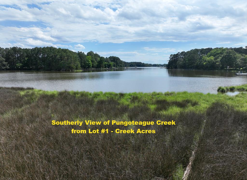 Lot 1 Mt Nebo Road, Unit 1 Onancock, VA 23417 - Photo 7 of 19