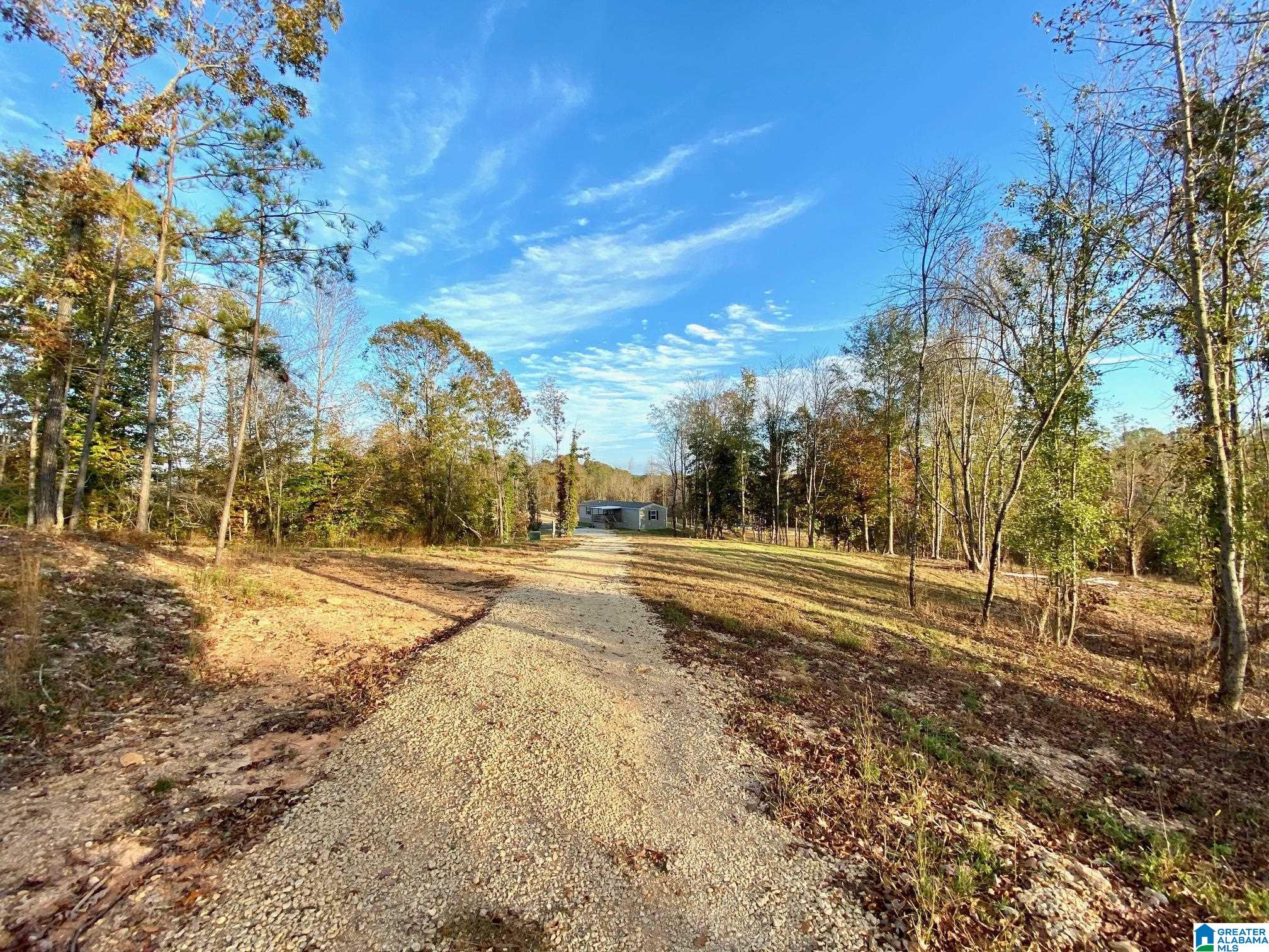 325 County Road 13 Heflin, AL 36264 - Photo 14 of 56