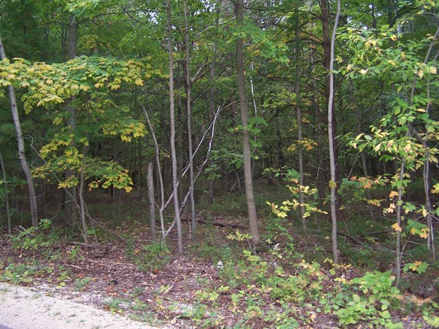 Lot 3 Daisy Patch Road Fish Creek, WI 54212 - Photo 2 of 2