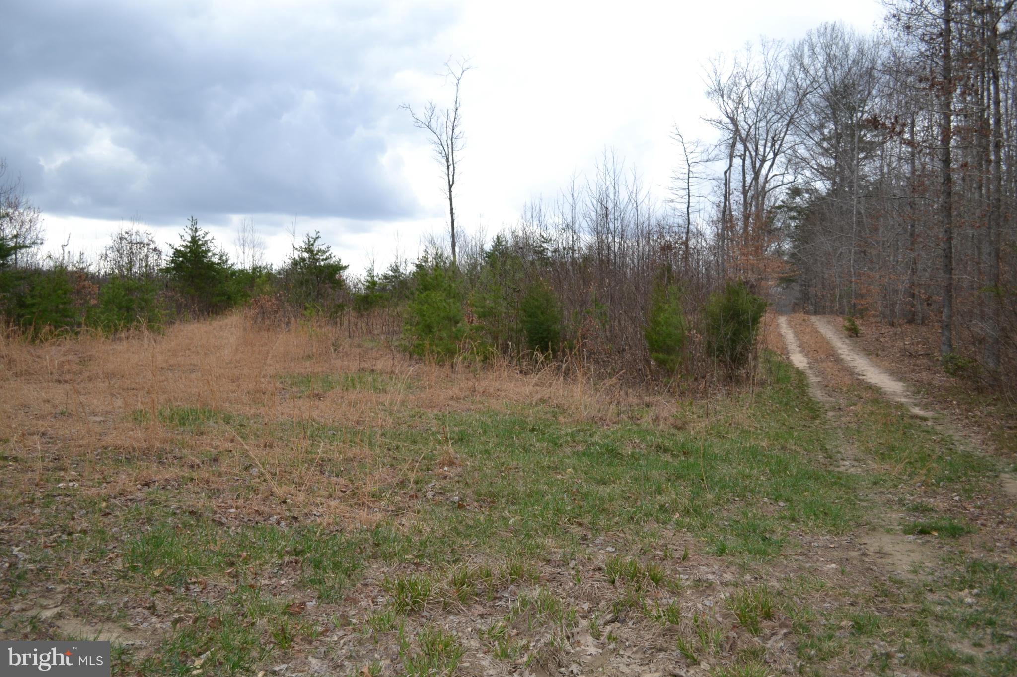 Crawleys Dam Road Sumerduck, VA 22742 - Photo 2 of 13 Exterior (Front)