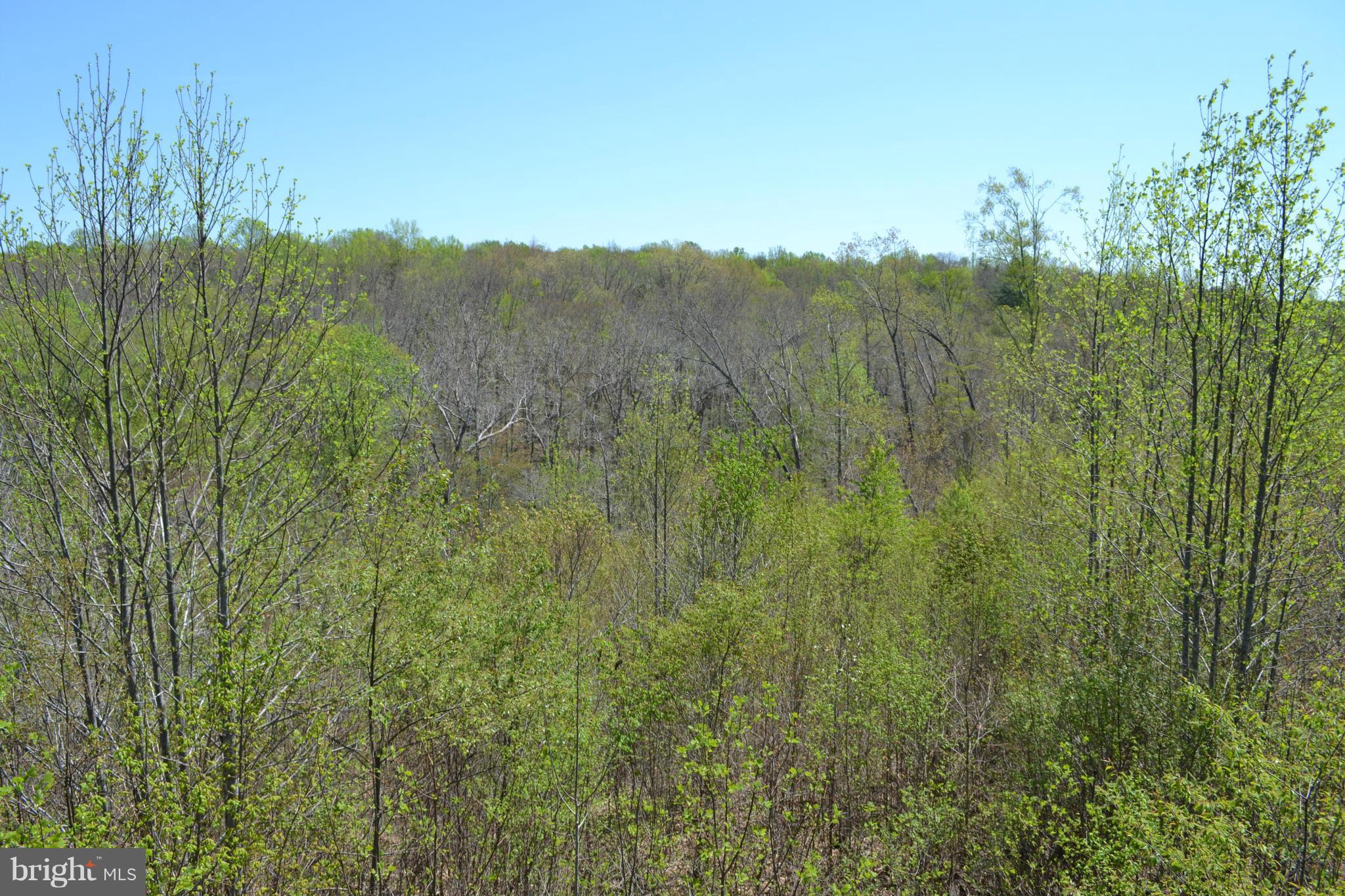 Crawleys Dam Road Sumerduck, VA 22742 - Photo 3 of 13 Exterior (General)