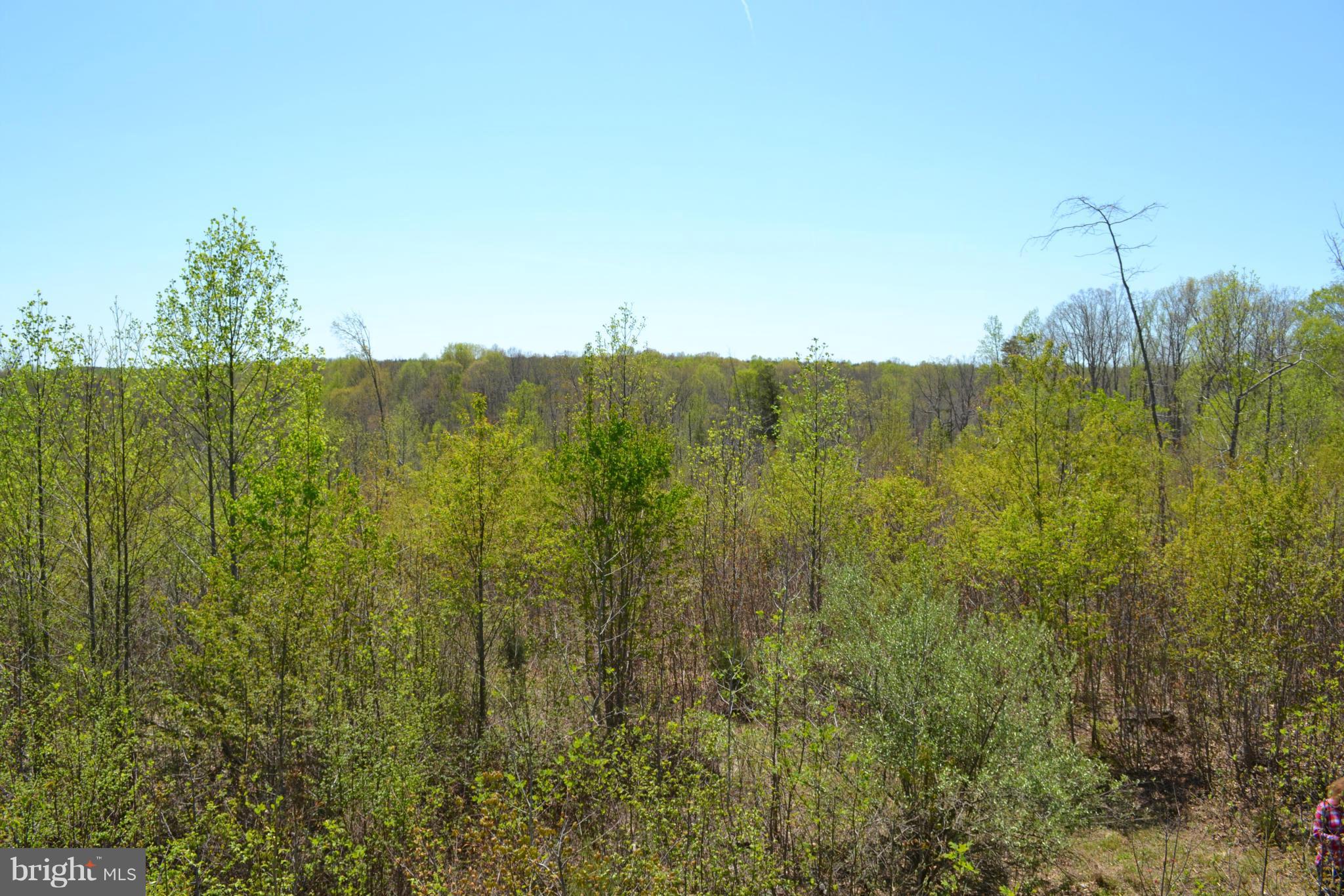 Crawleys Dam Road Sumerduck, VA 22742 - Photo 4 of 13 Exterior (General)