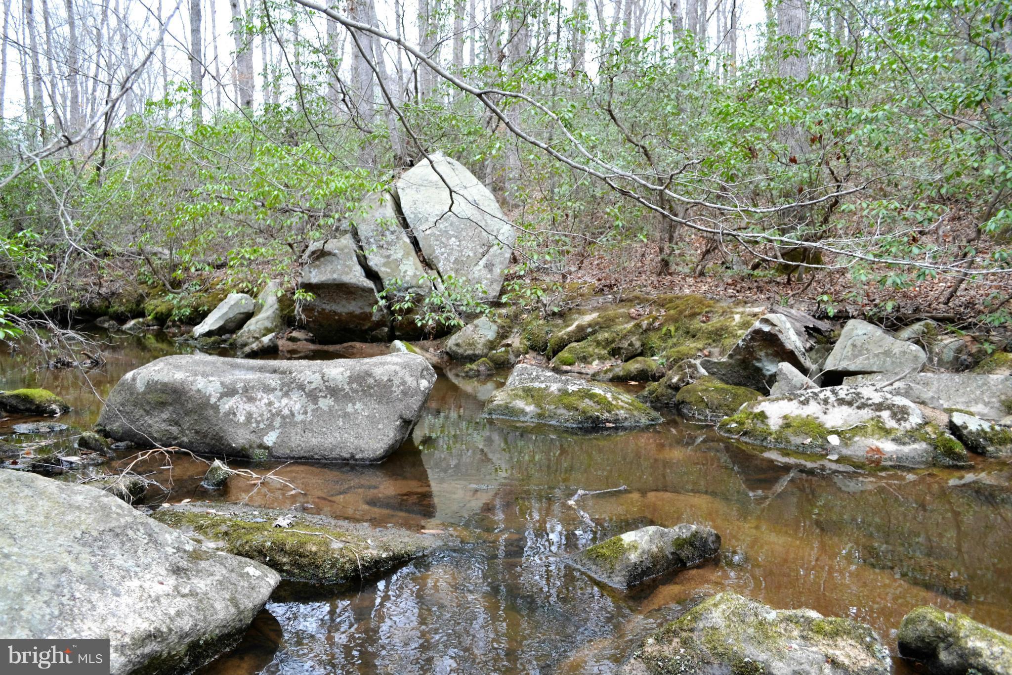Crawleys Dam Road Sumerduck, VA 22742 - Photo 6 of 13 Exterior (General)