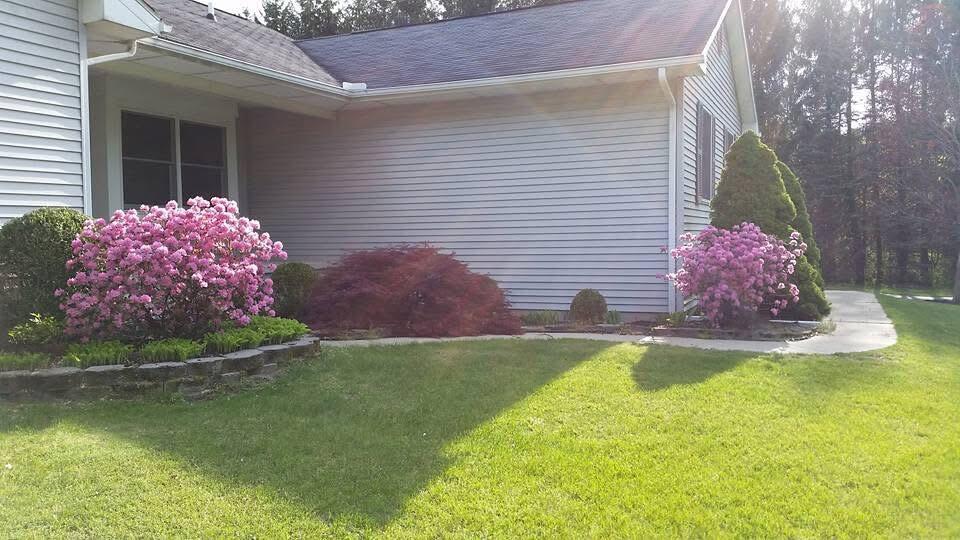 9868 Willow Road Willis, MI 48191 - Photo 11 of 146 IMG_1430 (1)