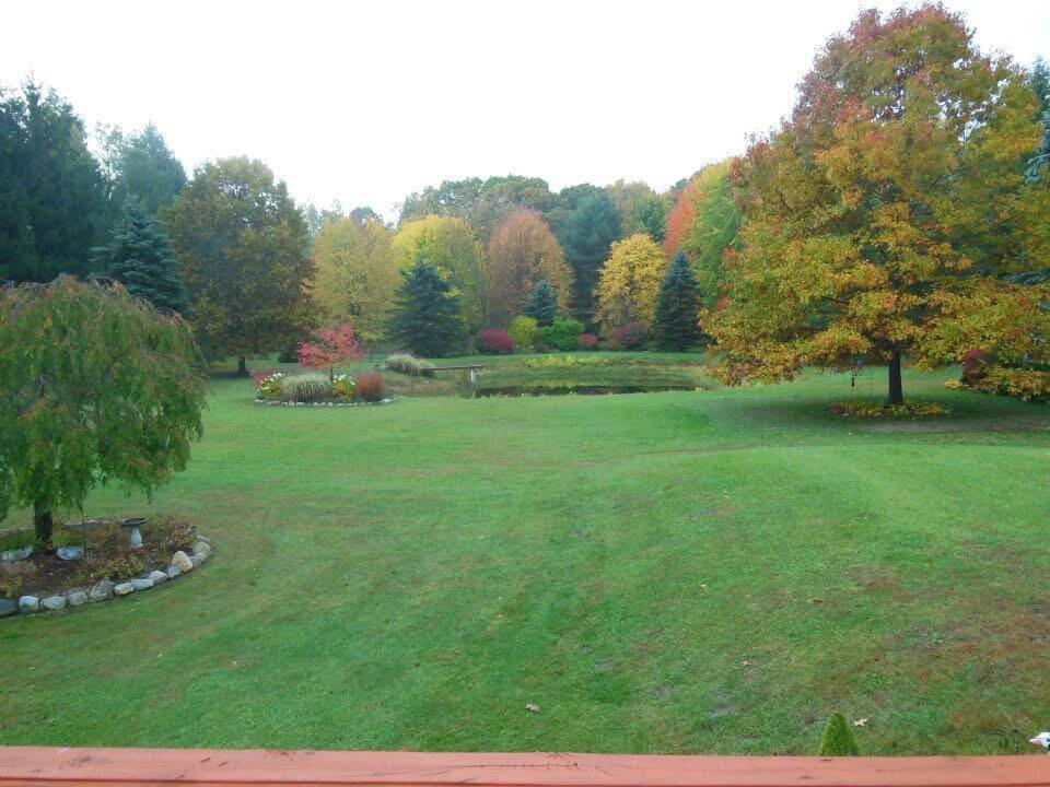 9868 Willow Road Willis, MI 48191 - Photo 116 of 146 IMG_6880