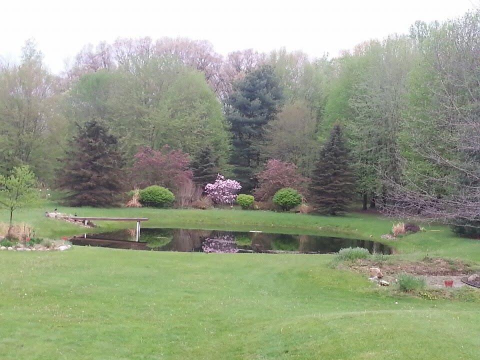 9868 Willow Road Willis, MI 48191 - Photo 13 of 146 IMG_1433
