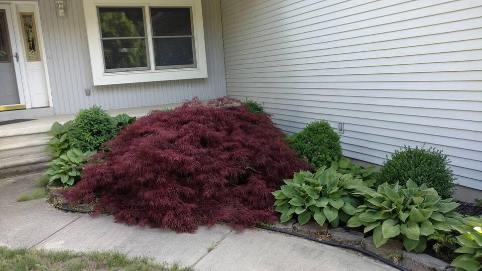 9868 Willow Road Willis, MI 48191 - Photo 10 of 146 IMG_1428
