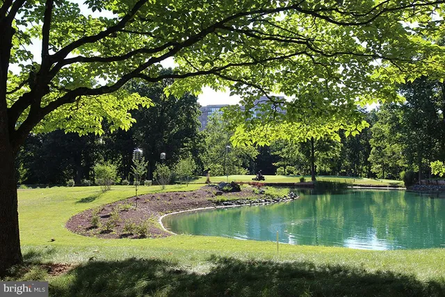 a view of a garden with plants