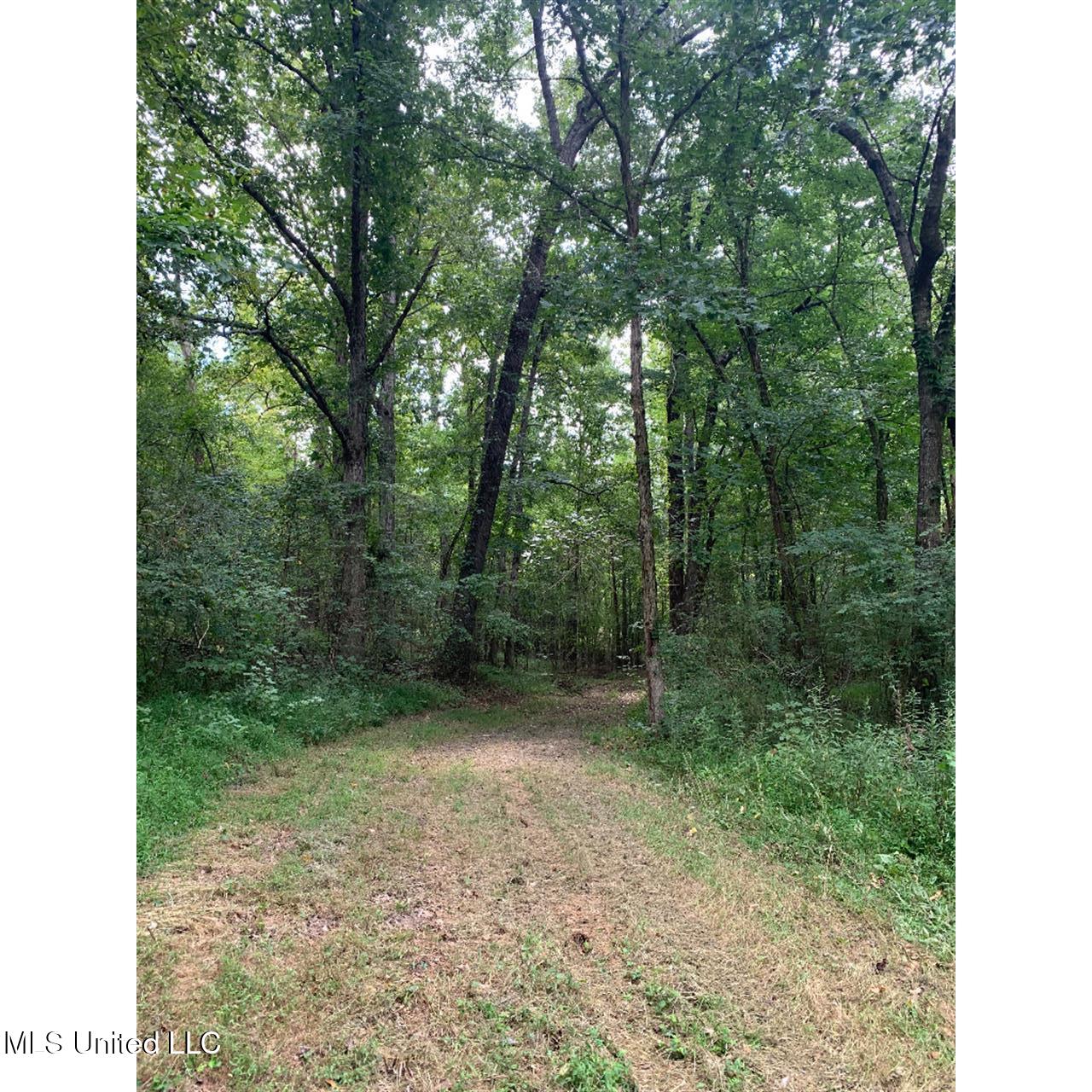 513 Brownlee Road Sarah, MS 38665 - Photo 11 of 25 10