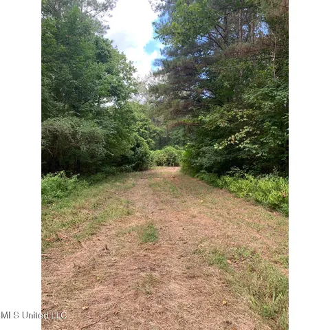 $215,000 | 513 Brownlee Road, Sarah, MS 38665