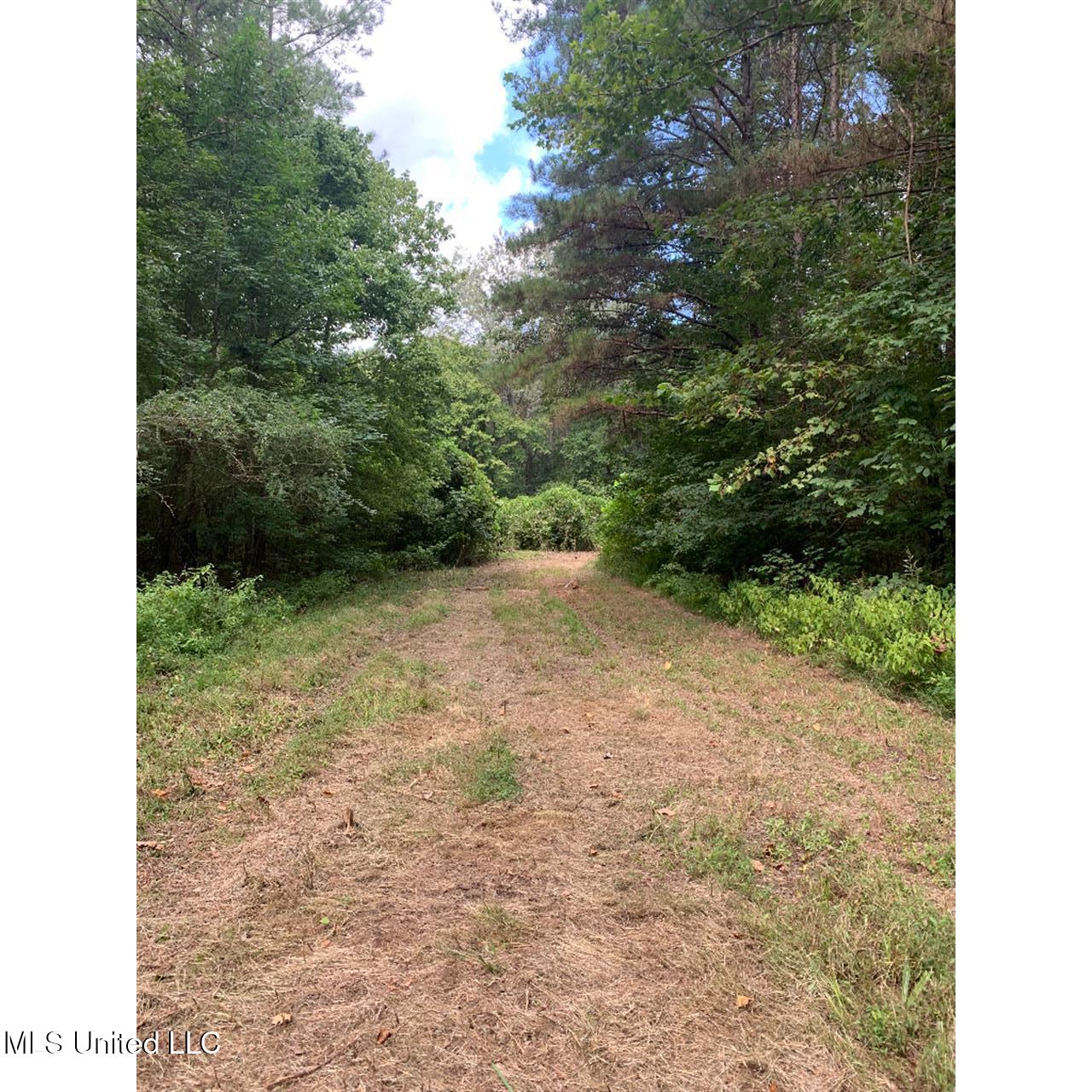 513 Brownlee Road Sarah, MS 38665 - Photo 12 of 25 11
