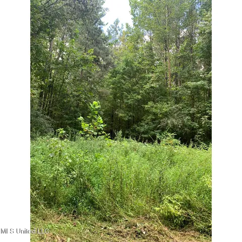 $215,000 | 513 Brownlee Road, Sarah, MS 38665