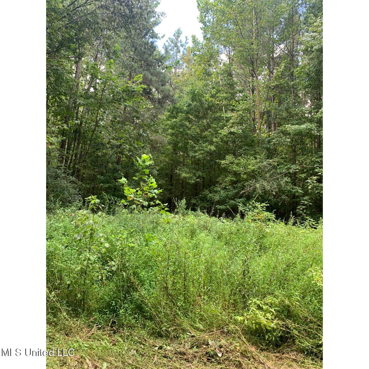 513 Brownlee Road Sarah, MS 38665 - Photo 13 of 25 12