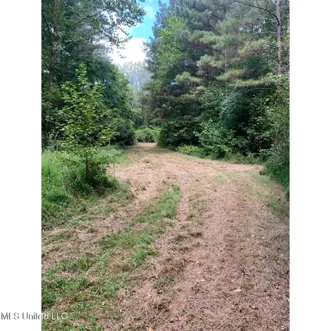 $215,000 | 513 Brownlee Road, Sarah, MS 38665