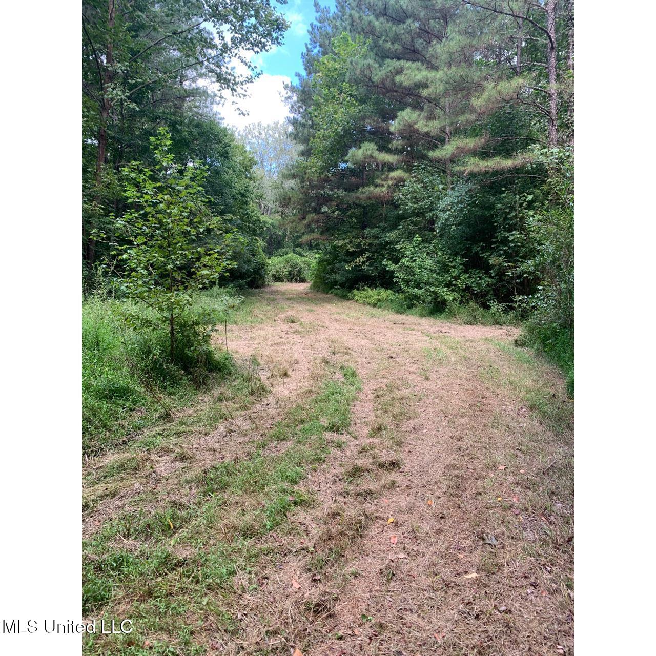 513 Brownlee Road Sarah, MS 38665 - Photo 14 of 25 13