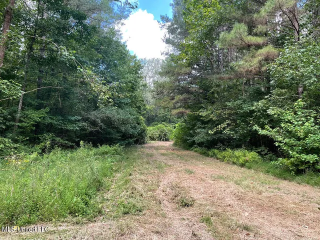 $215,000 | 513 Brownlee Road, Sarah, MS 38665