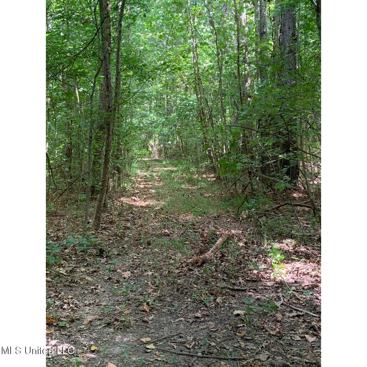 513 Brownlee Road Sarah, MS 38665 - Photo 16 of 25 15