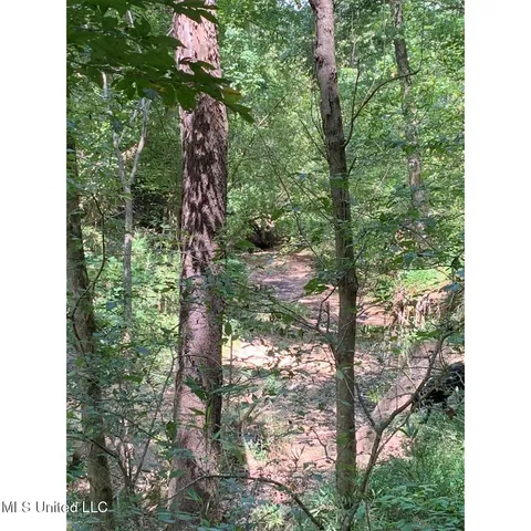 $215,000 | 513 Brownlee Road, Sarah, MS 38665