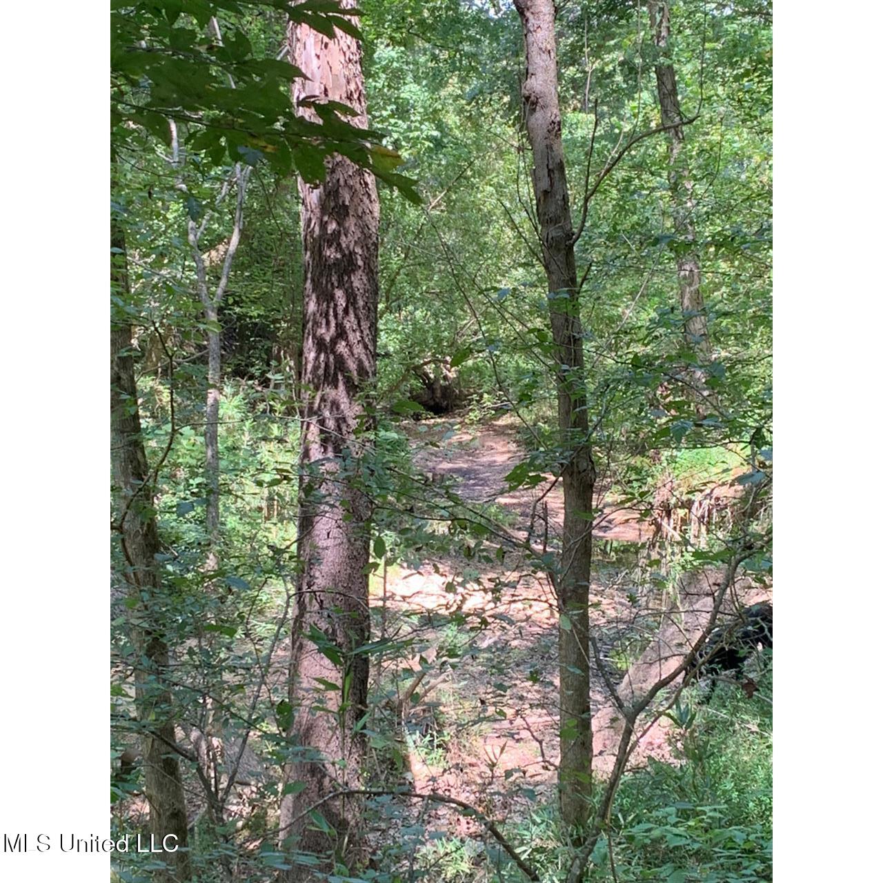 513 Brownlee Road Sarah, MS 38665 - Photo 17 of 25 16