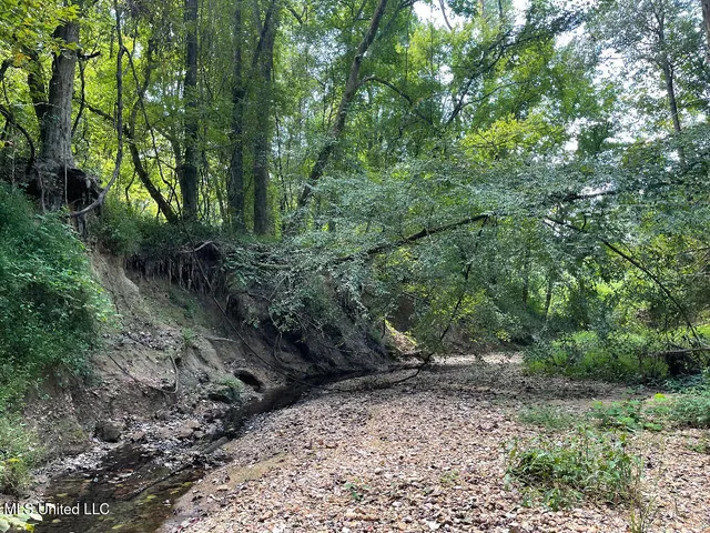 $215,000 | 513 Brownlee Road, Sarah, MS 38665