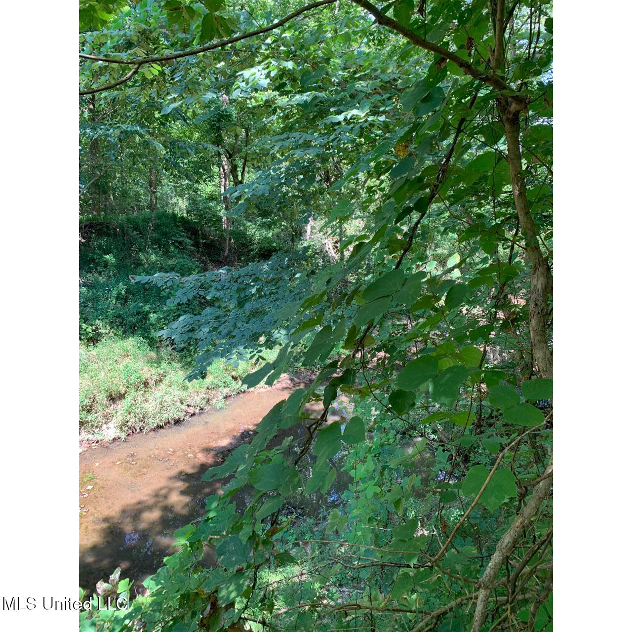 513 Brownlee Road Sarah, MS 38665 - Photo 19 of 25 18