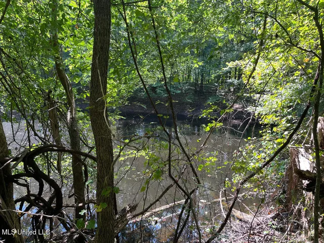 $215,000 | 513 Brownlee Road, Sarah, MS 38665