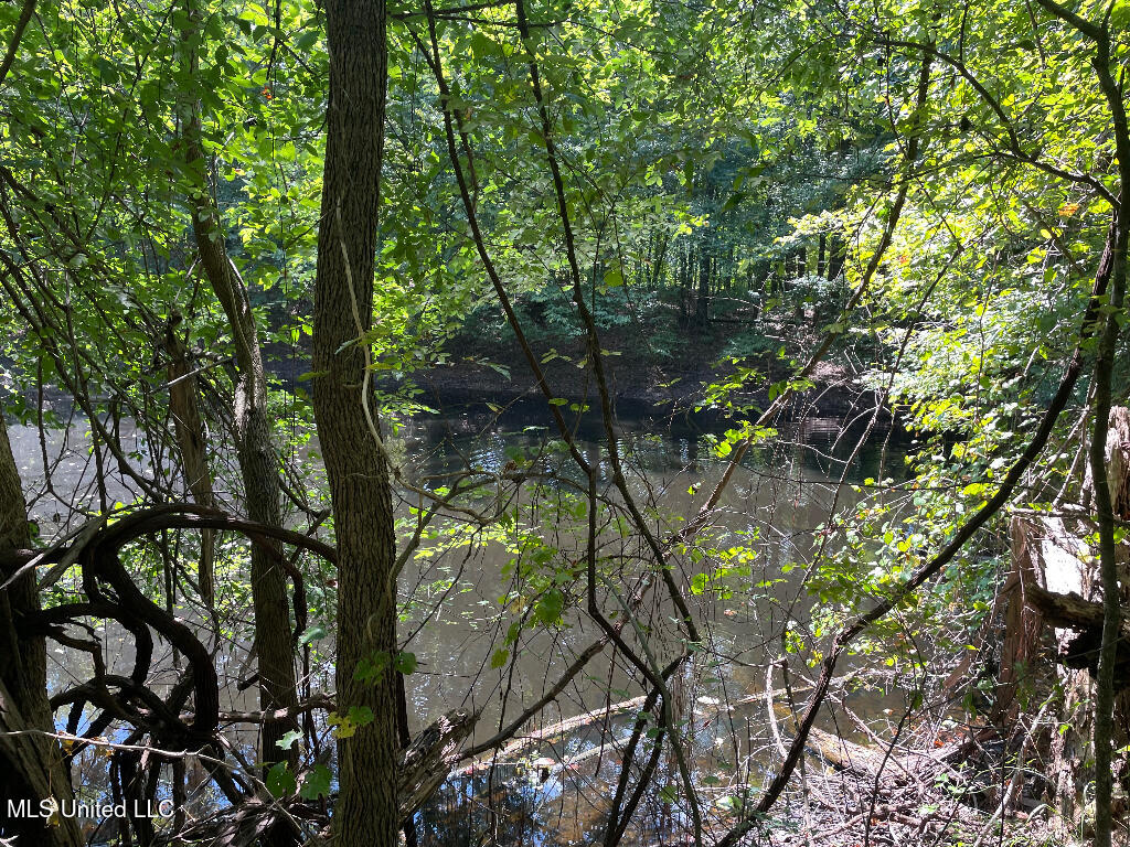 513 Brownlee Road Sarah, MS 38665 - Photo 20 of 25 19