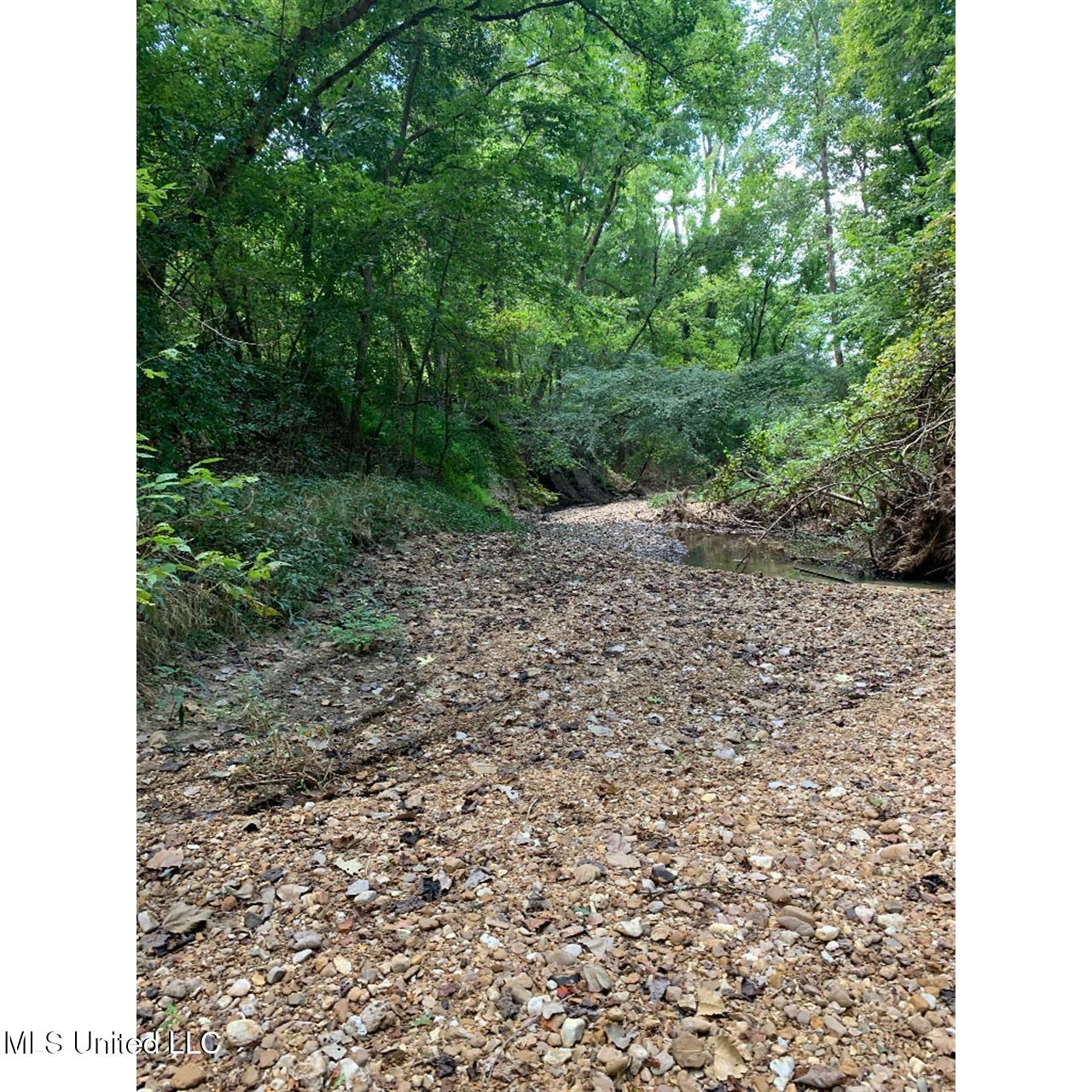 513 Brownlee Road Sarah, MS 38665 - Photo 21 of 25 20