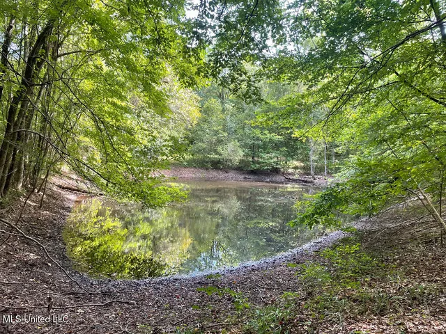 $215,000 | 513 Brownlee Road, Sarah, MS 38665