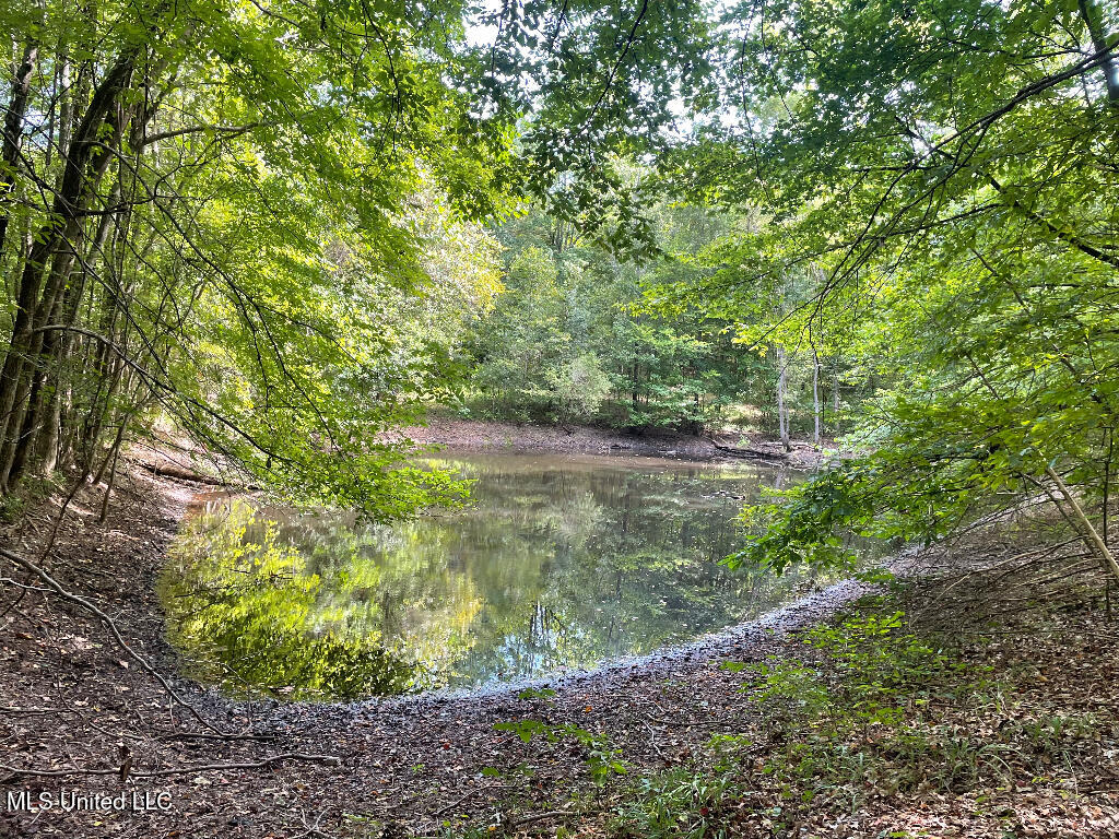 513 Brownlee Road Sarah, MS 38665 - Photo 22 of 25 21