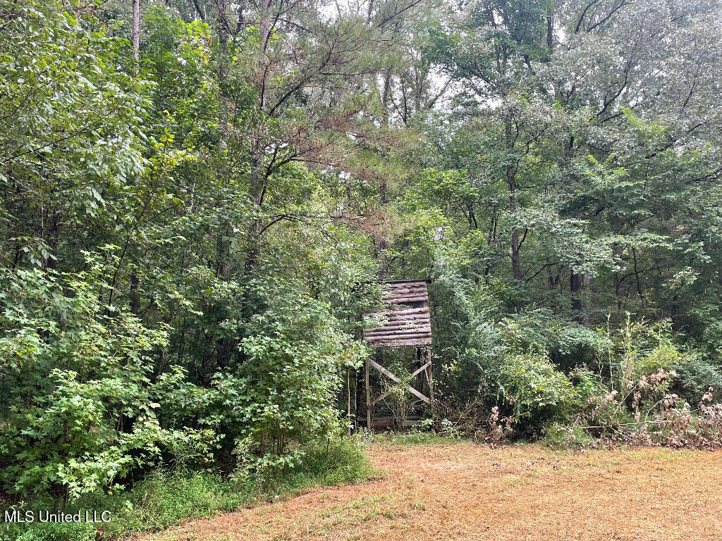 513 Brownlee Road Sarah, MS 38665 - Photo 23 of 25 22