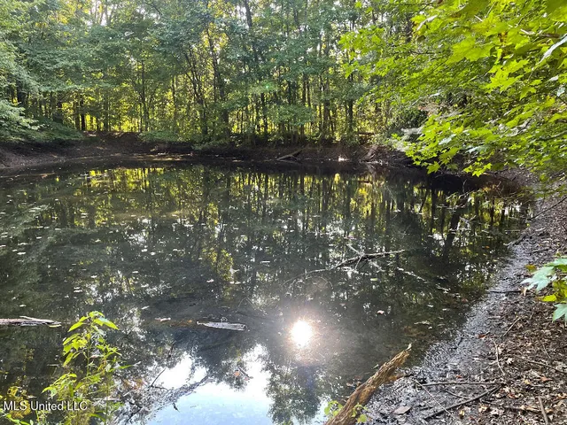 $215,000 | 513 Brownlee Road, Sarah, MS 38665