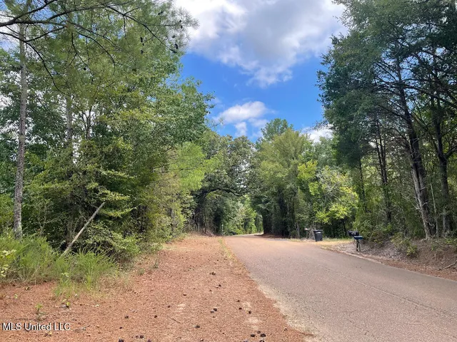 $215,000 | 513 Brownlee Road, Sarah, MS 38665