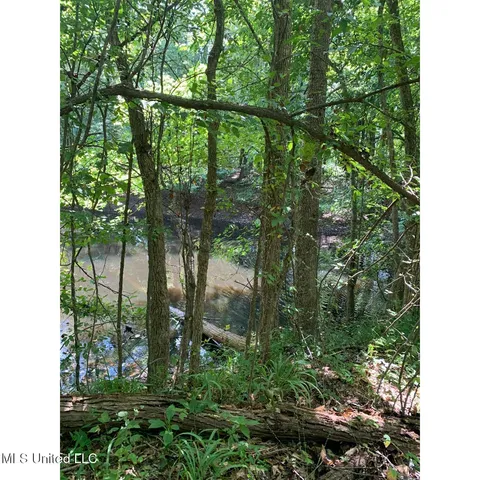 $215,000 | 513 Brownlee Road, Sarah, MS 38665