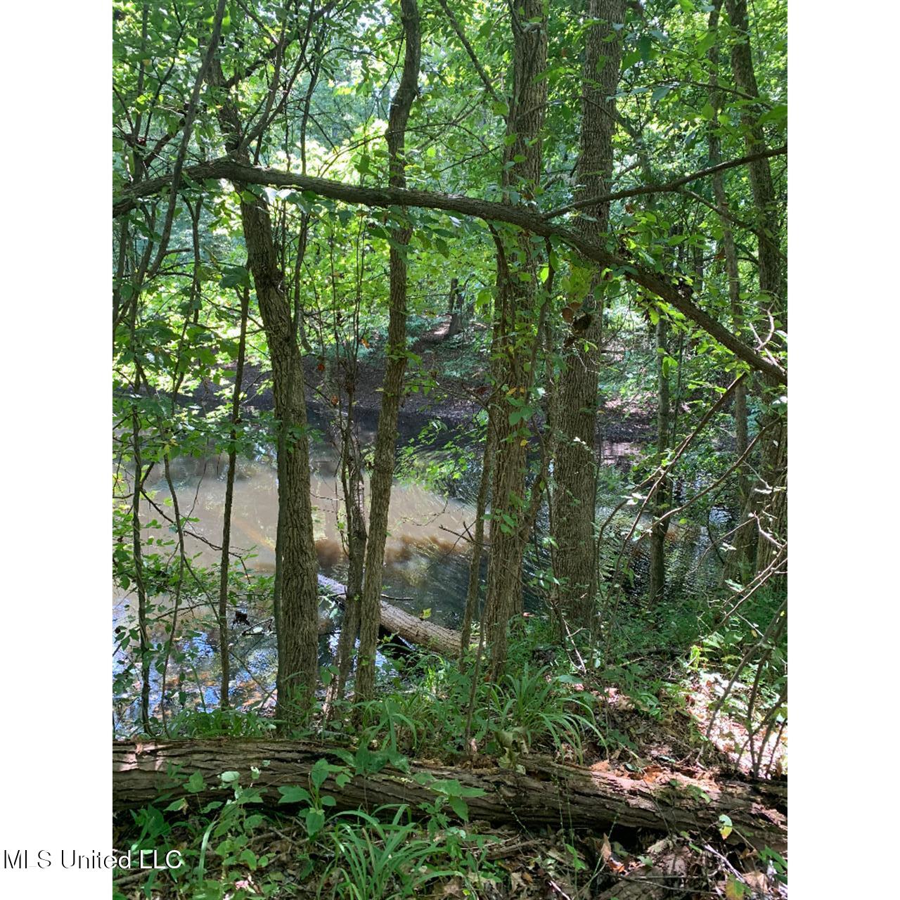 513 Brownlee Road Sarah, MS 38665 - Photo 4 of 25 03