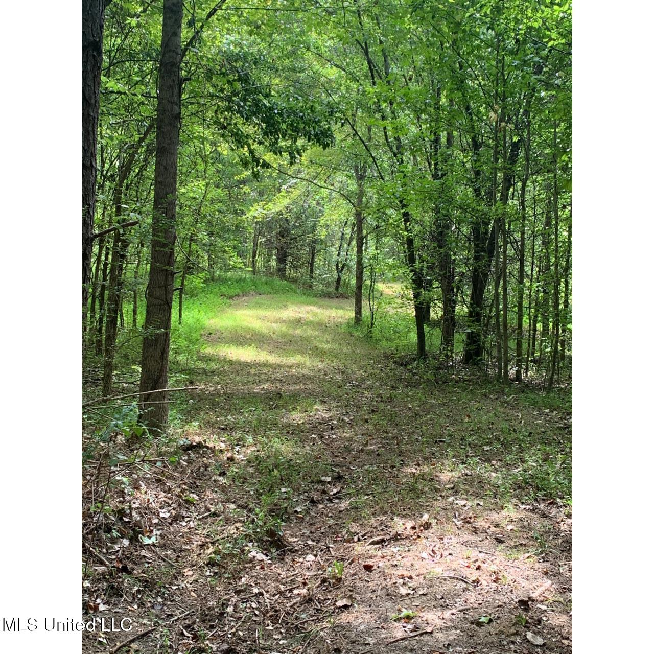 513 Brownlee Road Sarah, MS 38665 - Photo 5 of 25 04