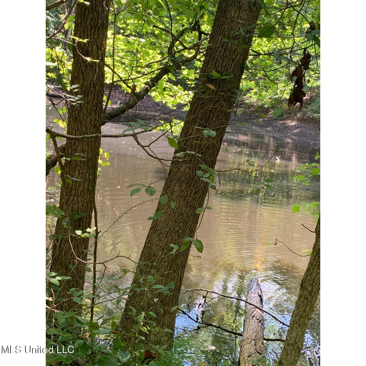 513 Brownlee Road Sarah, MS 38665 - Photo 6 of 25 05