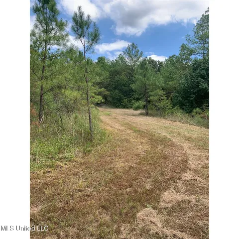 $215,000 | 513 Brownlee Road, Sarah, MS 38665