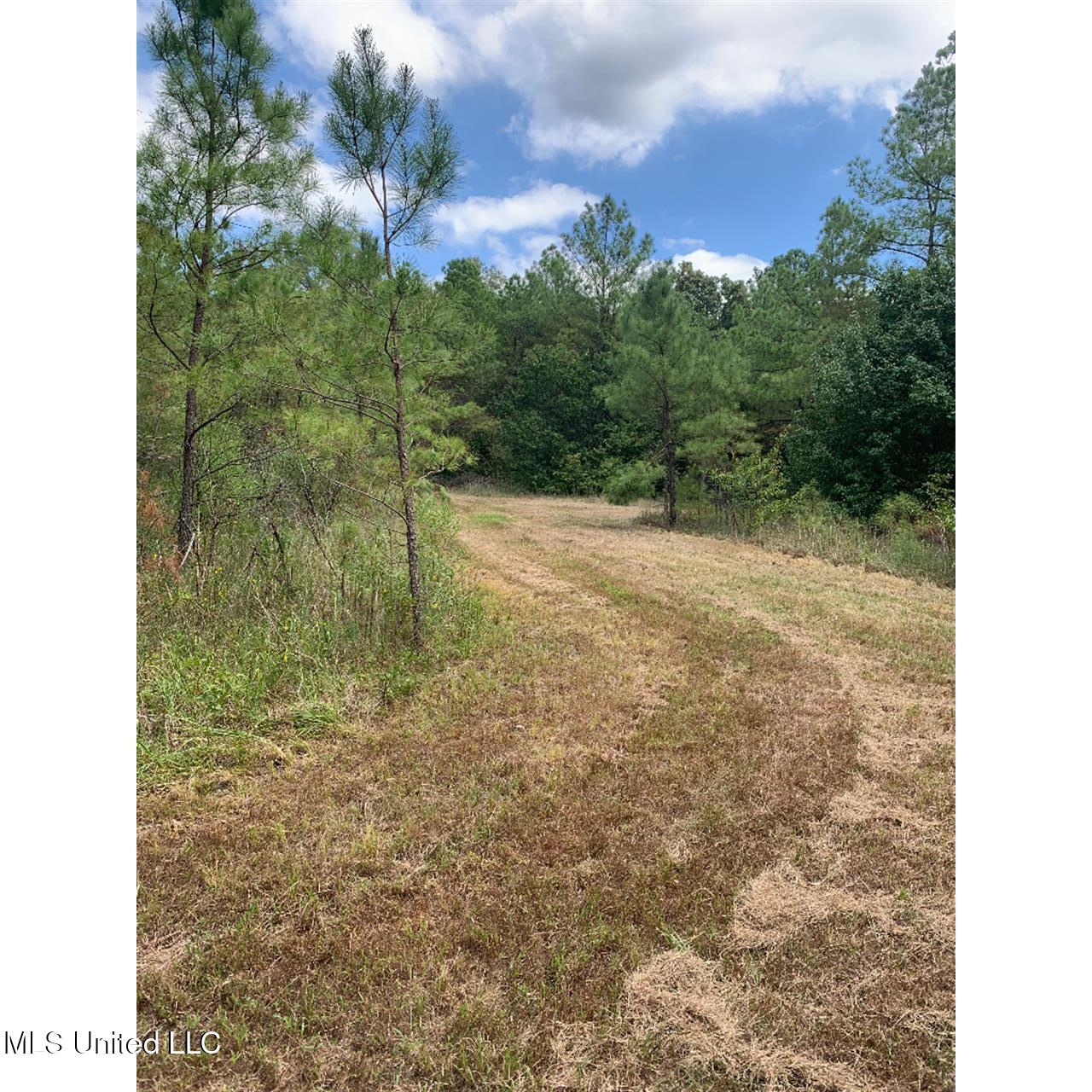 513 Brownlee Road Sarah, MS 38665 - Photo 7 of 25 06