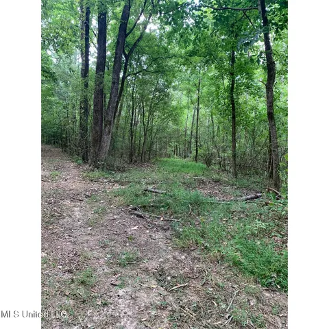 $215,000 | 513 Brownlee Road, Sarah, MS 38665