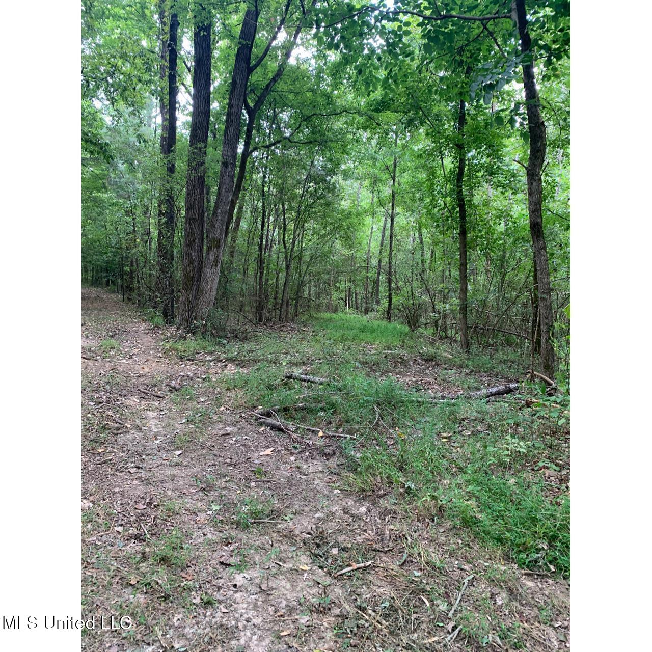 513 Brownlee Road Sarah, MS 38665 - Photo 8 of 25 07
