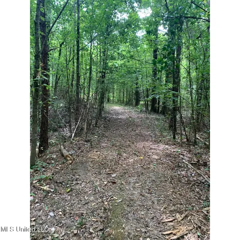 $215,000 | 513 Brownlee Road, Sarah, MS 38665