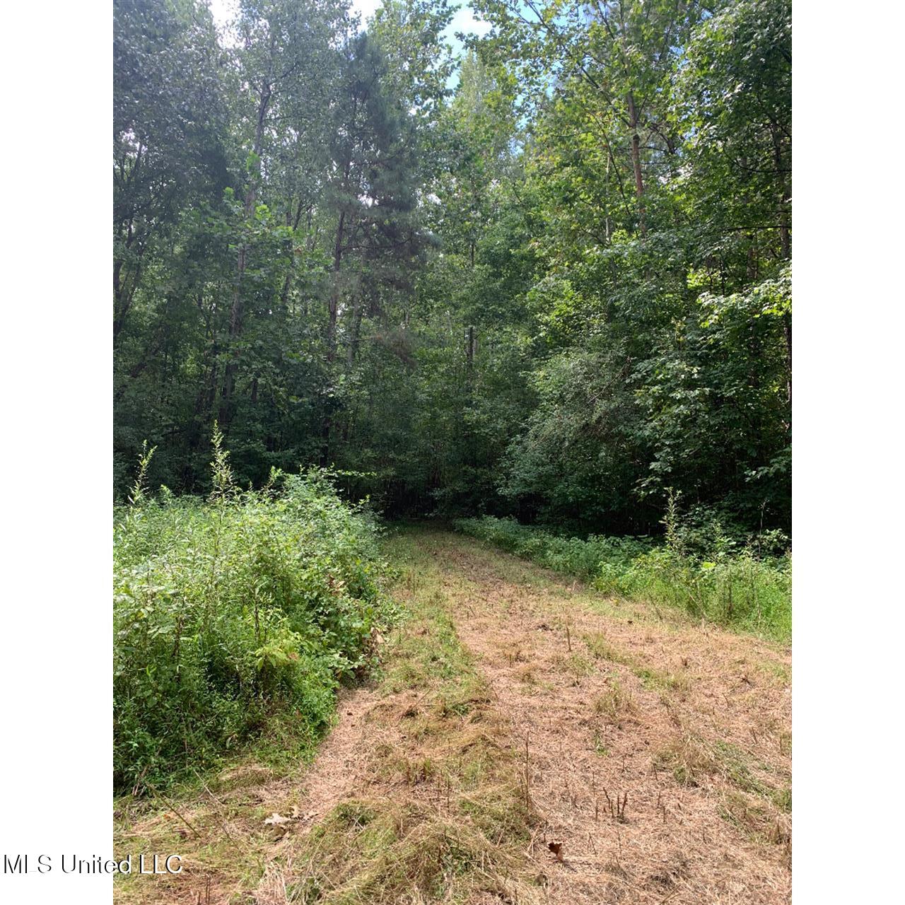 513 Brownlee Road Sarah, MS 38665 - Photo 10 of 25 09