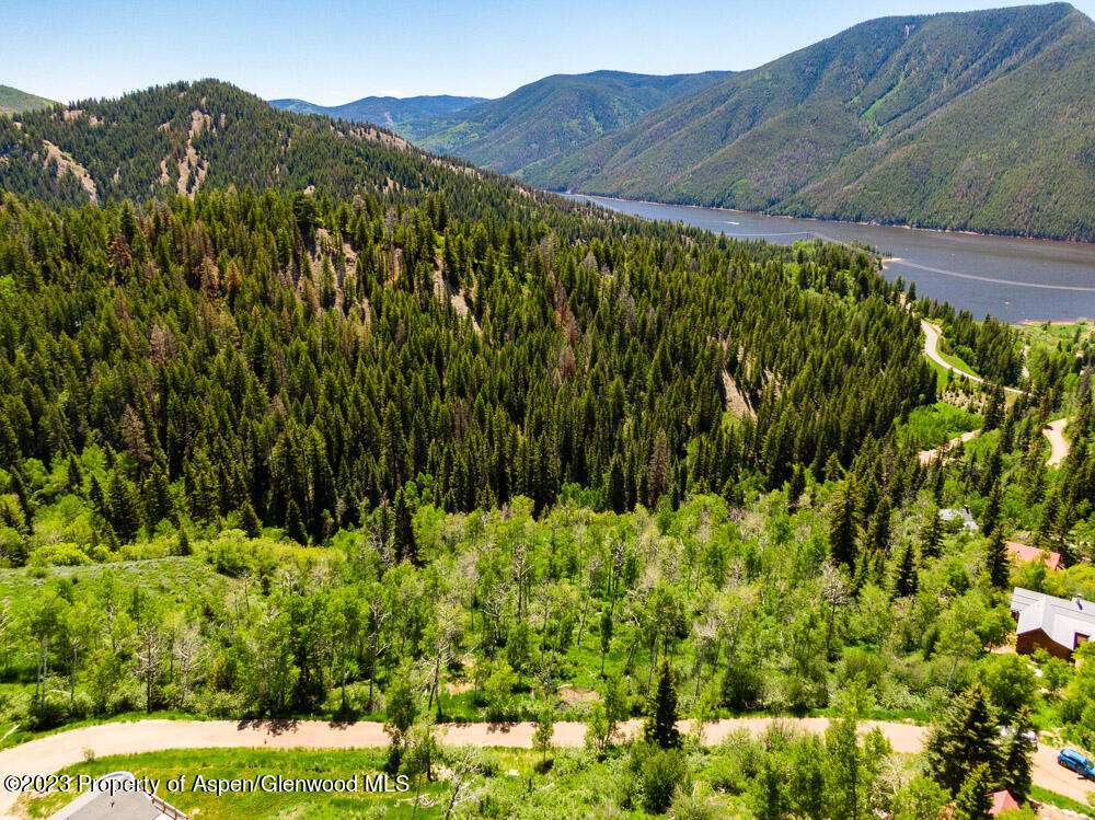 260 Wapiti Way Basalt, CO 81621 - Photo 11 of 20 a view of a yard with a tree